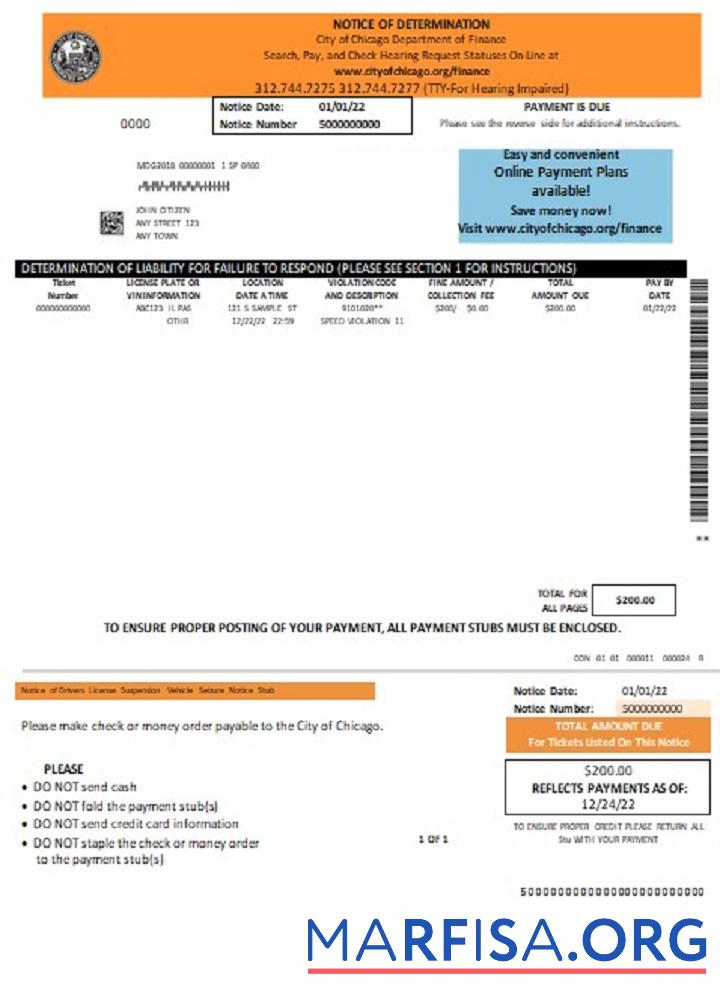 Realistic USA Chicago Notice of Determination download for verification